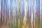 USA-Washington State-Seabeck Alder forest abstract Art Print